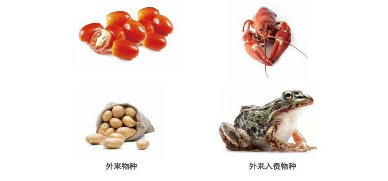 生物多样性6.jpg